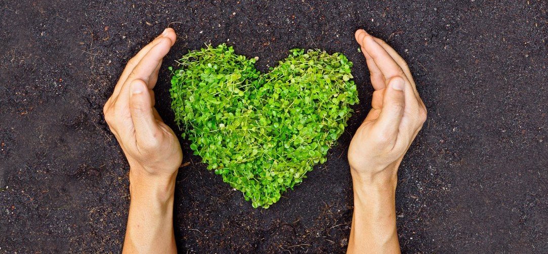 10 atitudes sustentáveis que você pode adotar no seu dia a dia